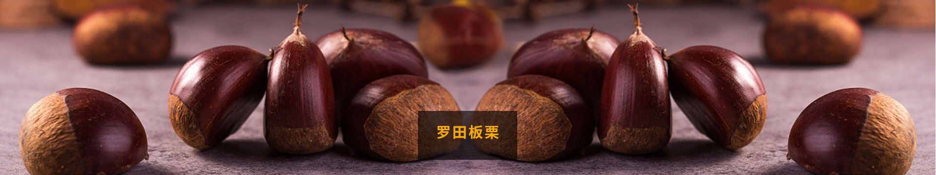 湖北板栗_关于弘福banner