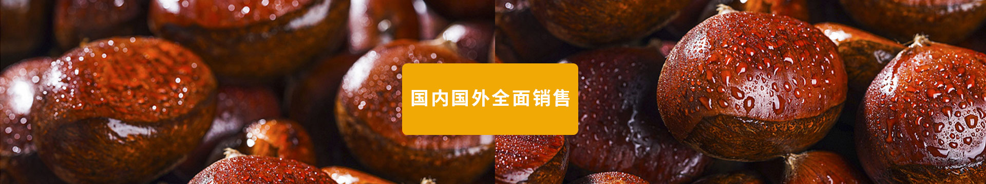 湖北板栗_产品中心banner